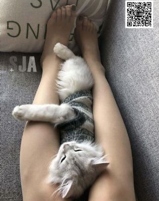 情欲九歌在线观看