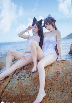 疯狂动物城(国语版)