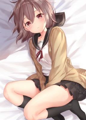 海贼王更新