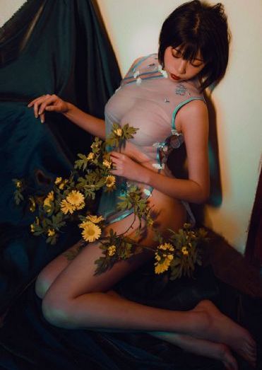 美丽姑娘高清视频免费全集观看