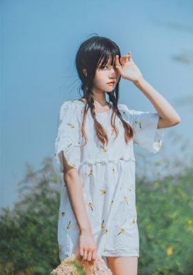 行尸走肉十二季在线播放